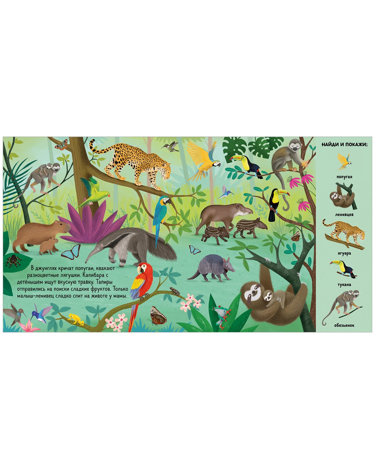 522811 Russian Baby Book “Find and Show — Animals Around the World” |Ages 2+ | Educational Game Book for Toddlers | Clever Publishing