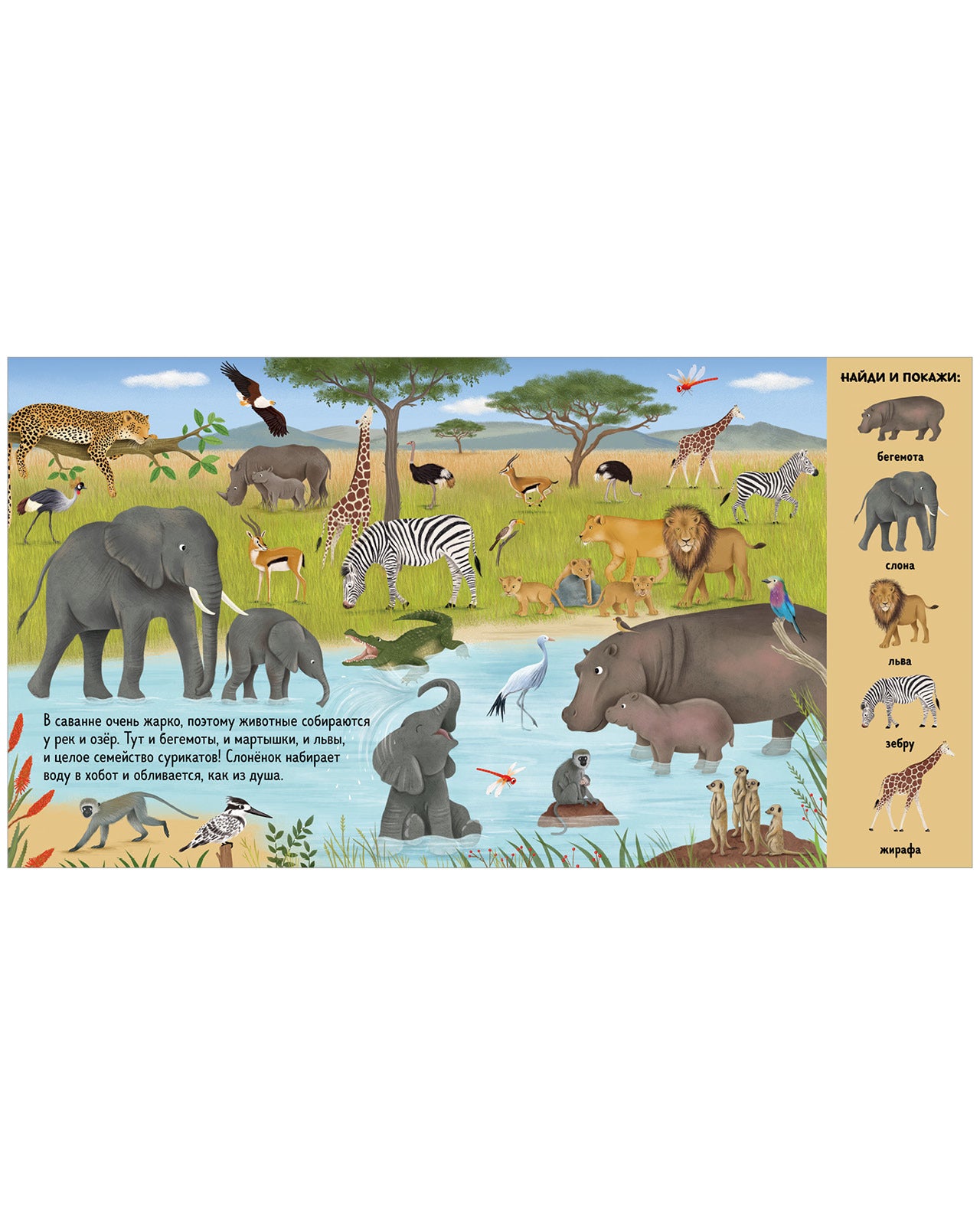 522811 Russian Baby Book “Find and Show — Animals Around the World” |Ages 2+ | Educational Game Book for Toddlers | Clever Publishing