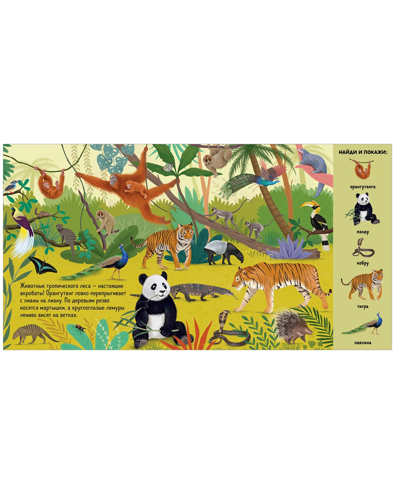 522811 Russian Baby Book “Find and Show — Animals Around the World” |Ages 2+ | Educational Game Book for Toddlers | Clever Publishing