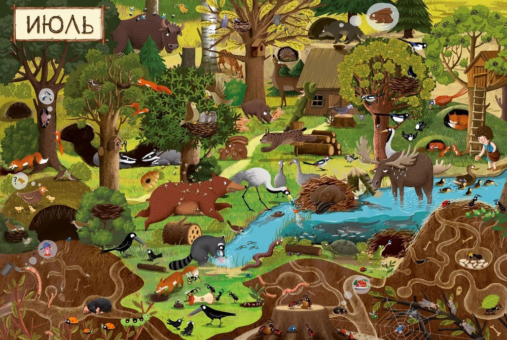 153351 Russian Picture Book “A Year in the Forest” | Emilia Dziubak | Seasons, Nature & Animal Life | Wimmelbook for Kids Ages 3–6