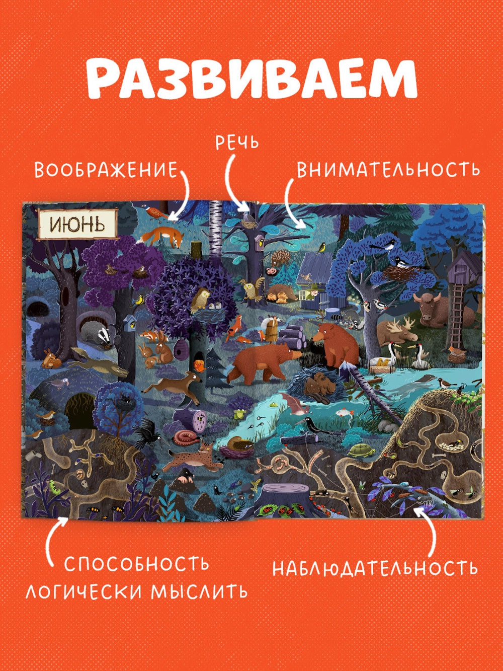 153351 Russian Picture Book “A Year in the Forest” | Emilia Dziubak | Seasons, Nature & Animal Life | Wimmelbook for Kids Ages 3–6