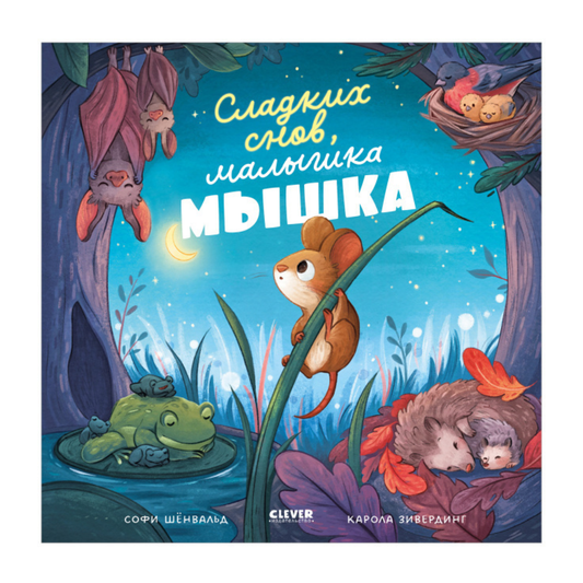 114825 Russian Kids Book “Goodnight, Little Mouse” |Ages 3+ | Sofie Schönwald & Karola Sieverding | Clever Publishing | Picture Book