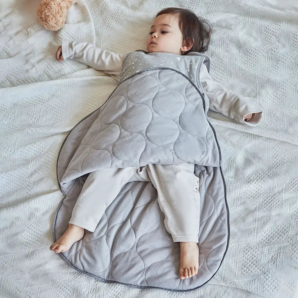 Baby Sleeping Bag Sleeveless Spring Baby Sleepsacks 3-24Months Kids Sleepwear Cute Animal Print Anti-Kick Blanket 2.5Tog