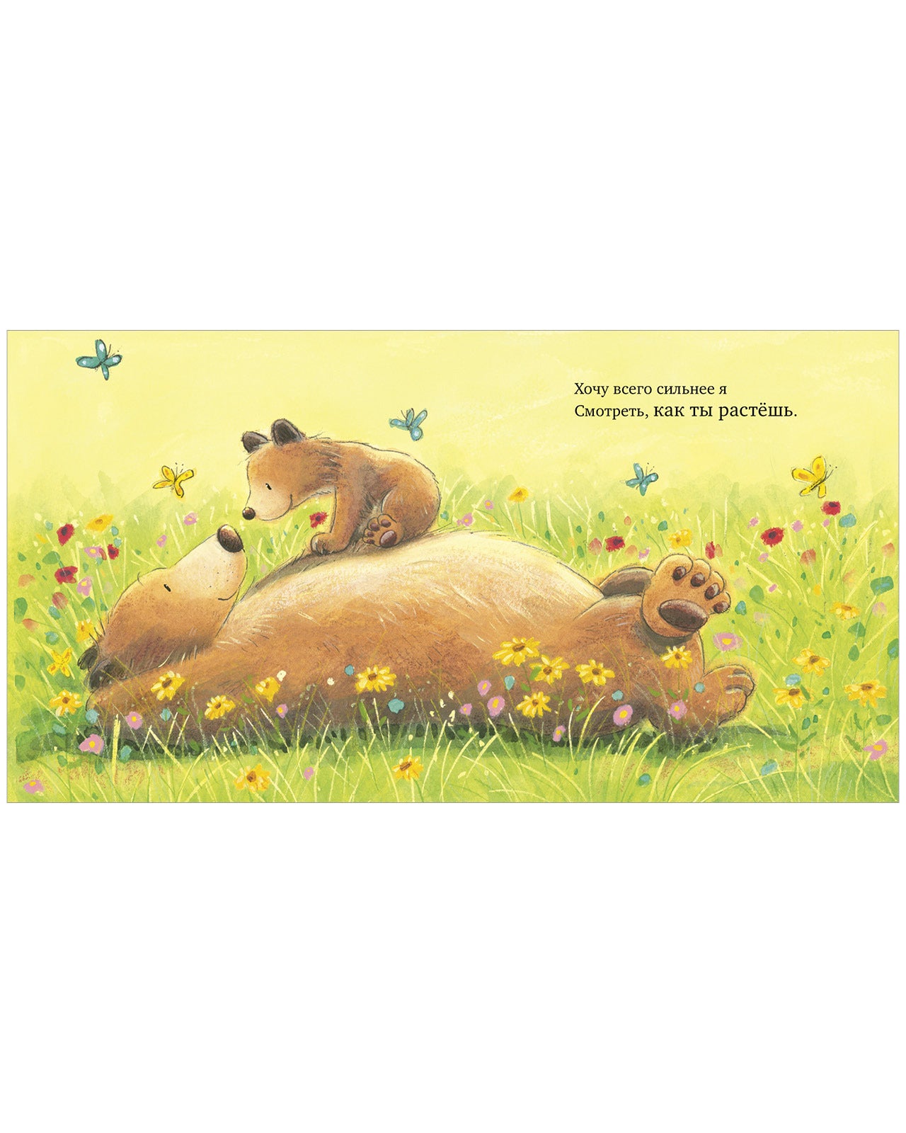 113606 Russian Kids Book “My Love for You Is Endless” |Ages 2+ | Amelia Hepworth & Tim Warnes | Clever Publishing | Picture Book