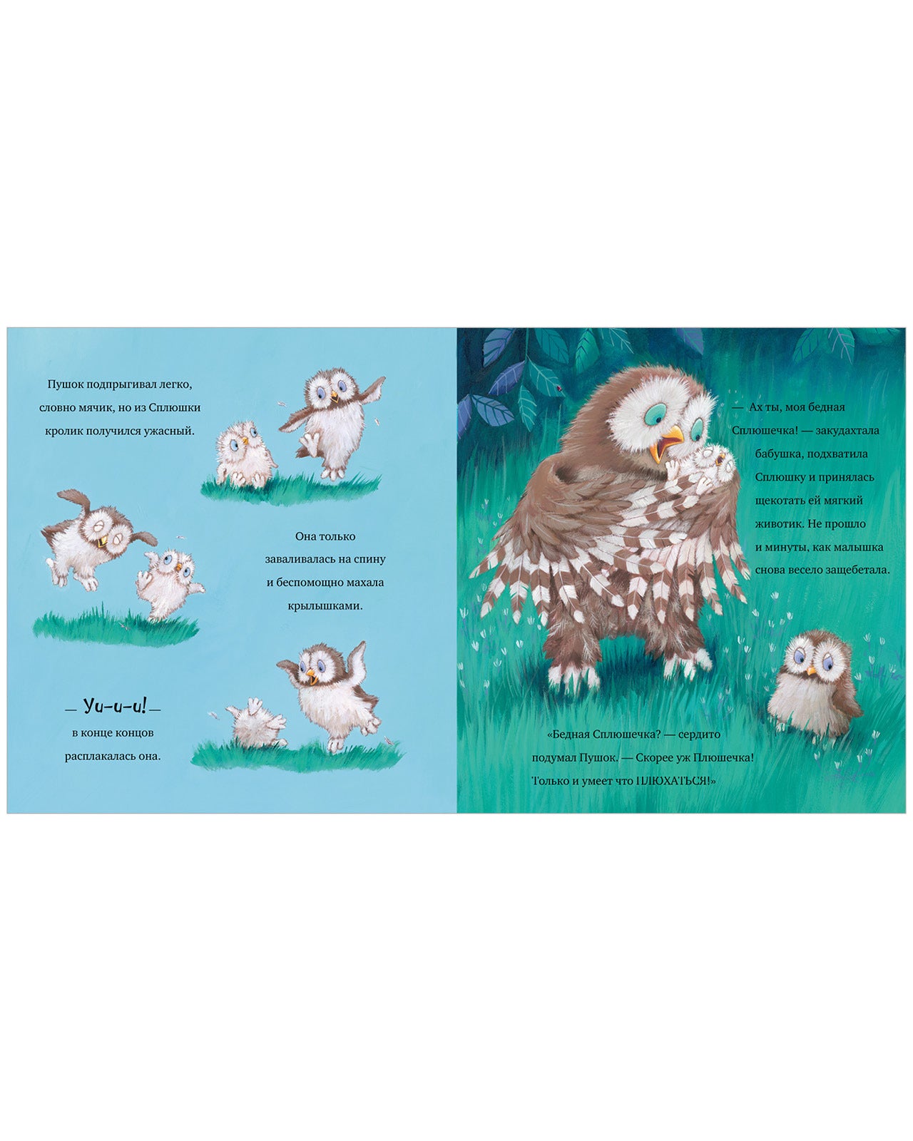 545309 Russian Kids Book “Love Is Enough for Two” | Ages 3+ | Jane Chapman | Clever Publishing | Softcover Picture Book