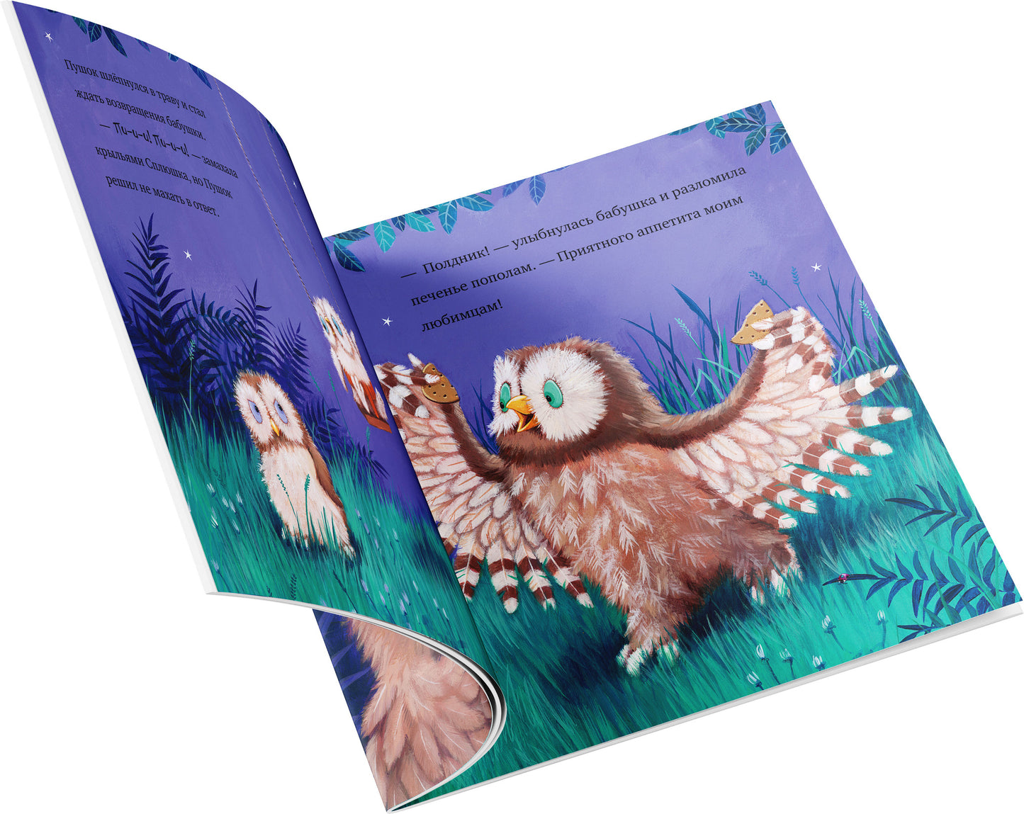 545309 Russian Kids Book “Love Is Enough for Two” | Ages 3+ | Jane Chapman | Clever Publishing | Softcover Picture Book