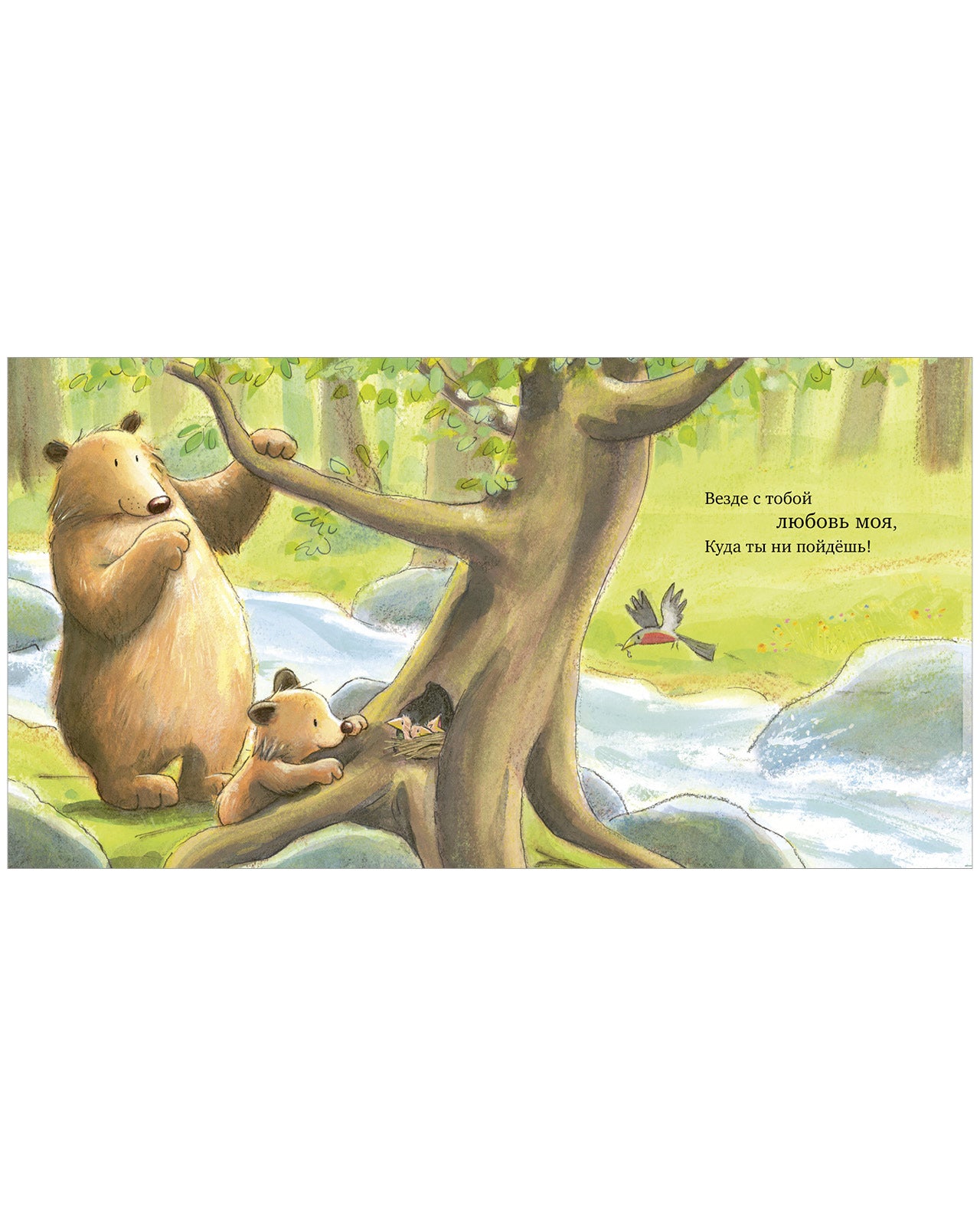 113606 Russian Kids Book “My Love for You Is Endless” |Ages 2+ | Amelia Hepworth & Tim Warnes | Clever Publishing | Picture Book