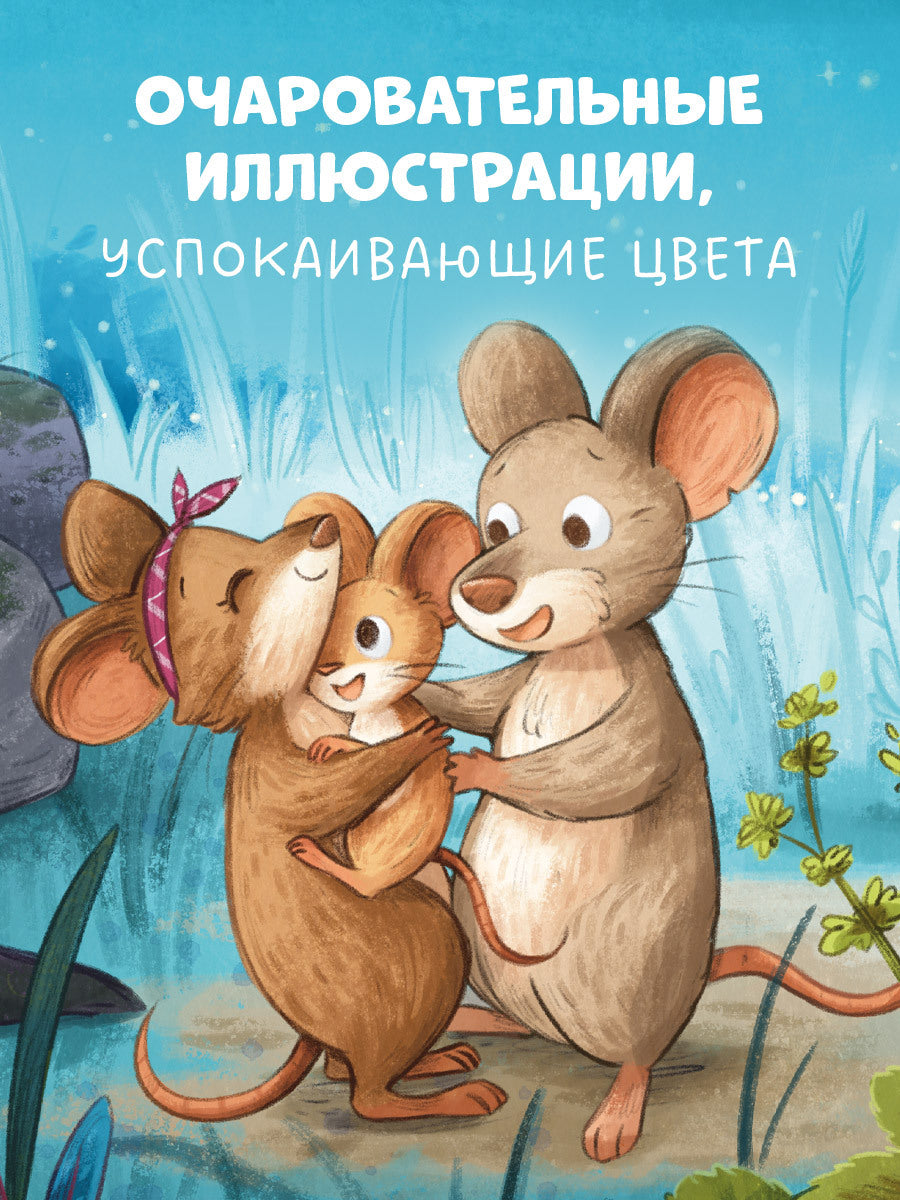 114825 Russian Kids Book “Goodnight, Little Mouse” |Ages 3+ | Sofie Schönwald & Karola Sieverding | Clever Publishing | Picture Book