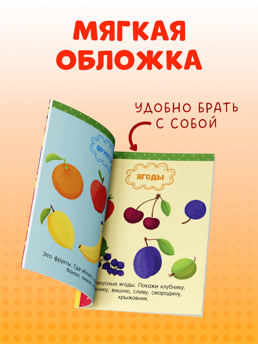 118564 Russian Kids Book “Big Book for Speech Development” | Ages 1+ | Yelena Ulyeva | Clever Publishing